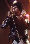 portrait de Freddie Mercury
